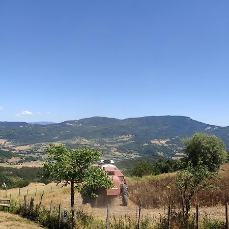 Agriturismo Al Monte Сан-Пьеро-ин-Баньо Экстерьер фото