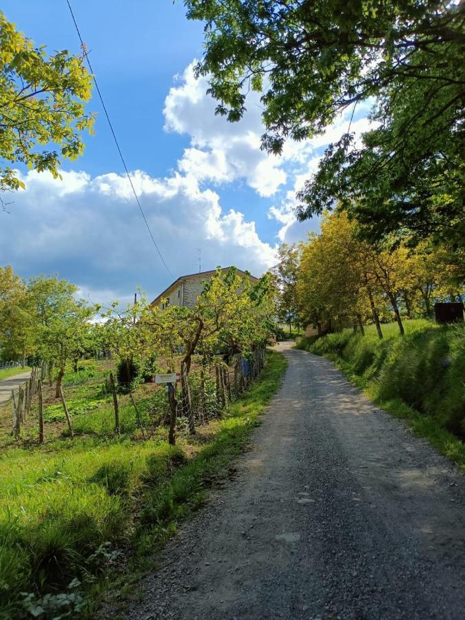 Agriturismo Al Monte Сан-Пьеро-ин-Баньо Экстерьер фото